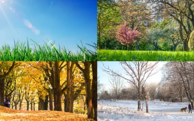 Is There an Ideal Season for Cataract Surgery? A Look at Seasonal Outcome Data