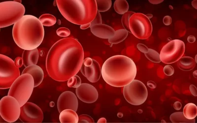 Cataract Surgery and Haemophilia: What You Need to Know