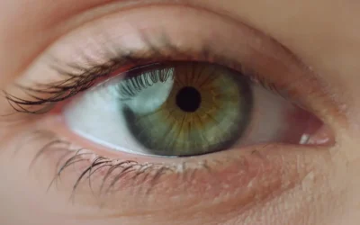 The Role of Eye Biomechanics in Cataract Surgery Outcomes