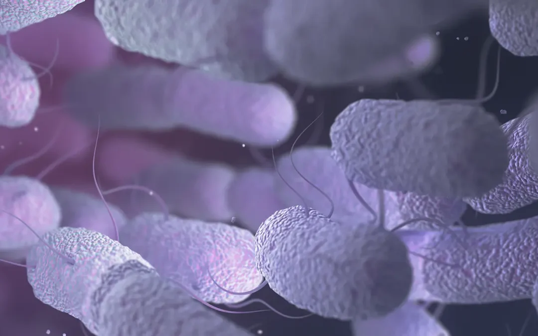 The Microbiome and Eye Health: Can Gut Bacteria Influence Cataract Risk?