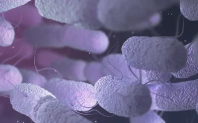 The Microbiome and Eye Health: Can Gut Bacteria Influence Cataract Risk?